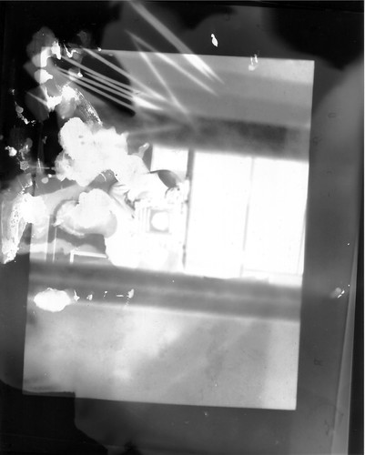 Photogram ? | by emily-m!