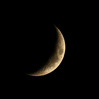 Evening Crescent Moon