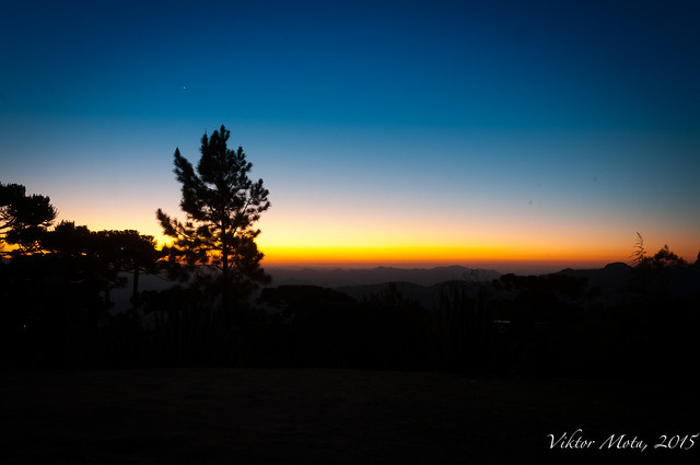 _DSC9605