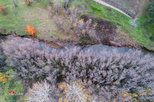 dji phantom4pro airialview dreyerpicturescom drone aerial high roseville california unitedstates us patterns trees colors river water