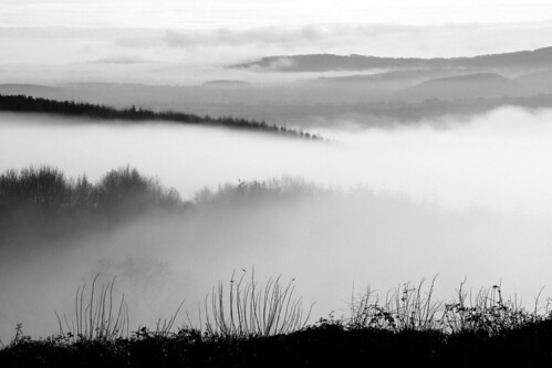 mist misty fog monochrome monochromatic blackandwhite blackwhite bw landscape scenic scenery countryside nature natural rural outside outdoor