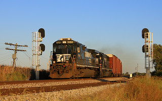 NS #145 at Arnold - 2009