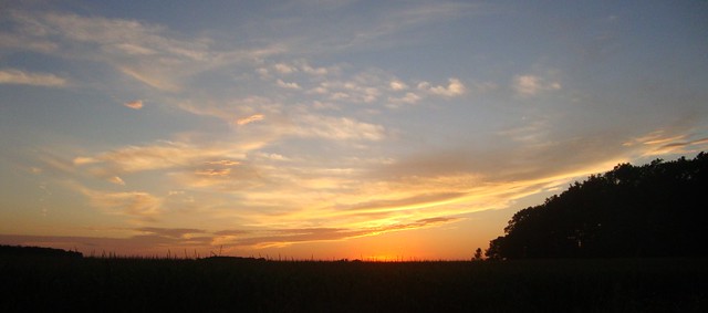 Sunset over a Cornfield (White County, Indiana)