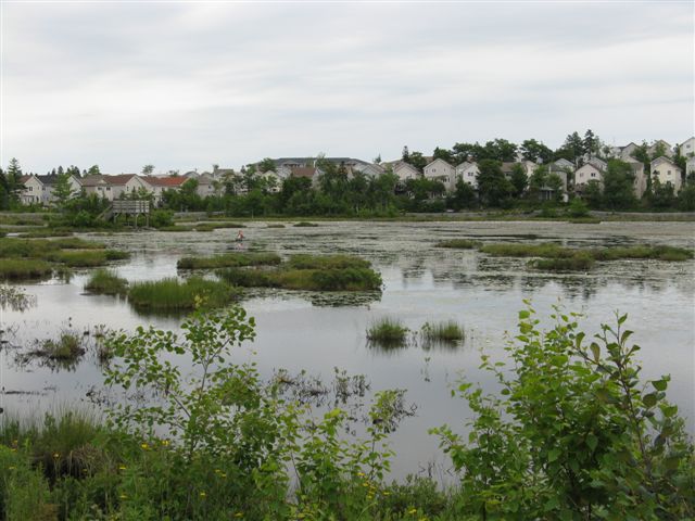 Belchers Marsh