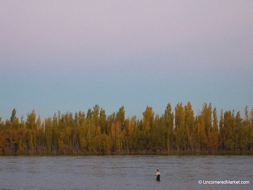 sunset patagonia water argentina river dusk neuquen dpn