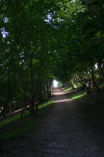 Path back to Crowland 