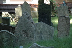 Jewish Cemetery H