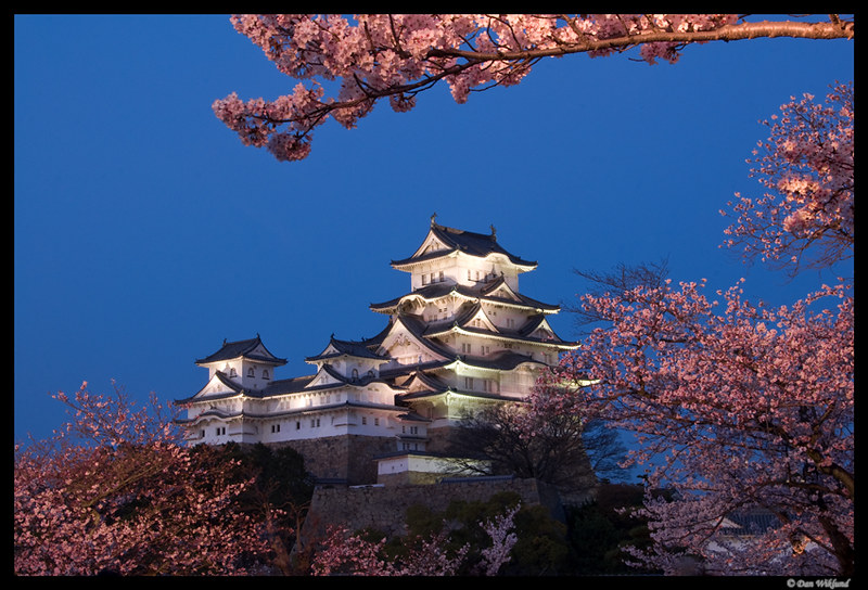 Blue hour sakura at Himeji-jo by Dan Wiklund