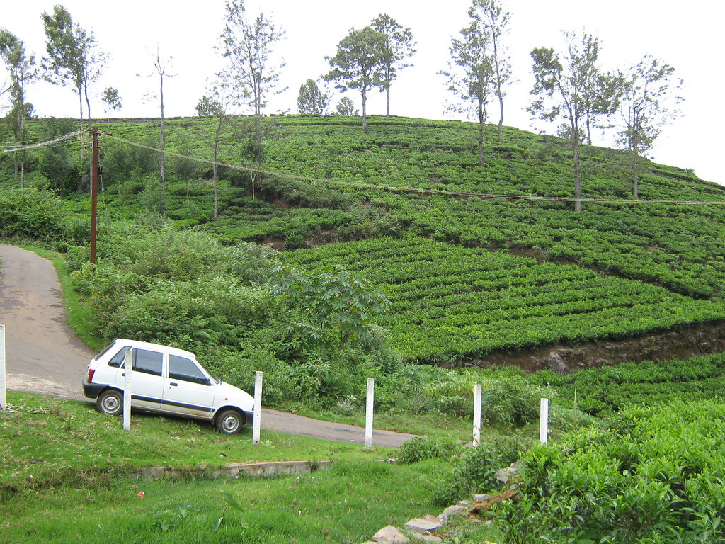 Ooty Indian City Stock Photo - Download Image Now - Ooty, India, Hill -  iStock