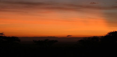 sunrise tanzania serengeti tz