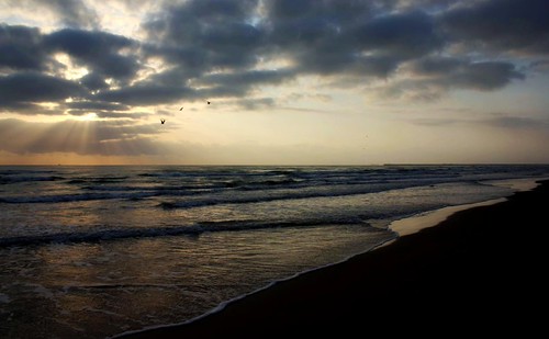 Amanecer by Drogdon, 7:04 AMsea cloud costa sun bird sol beach sunrise mexico dawn mar reflex wave playa amanecer shore a