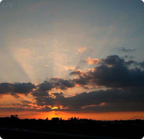 Rayos de soL... by _NeiRe_, Febrero '09