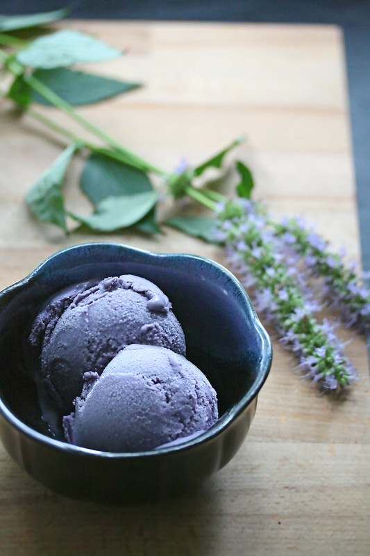 Blueberry-Hyssop Ice Cream