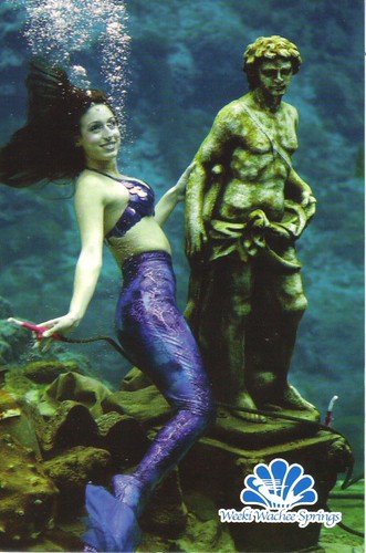 Weeki Wachee Springs State Park Florida underwater mermaid postcard | by paflip25