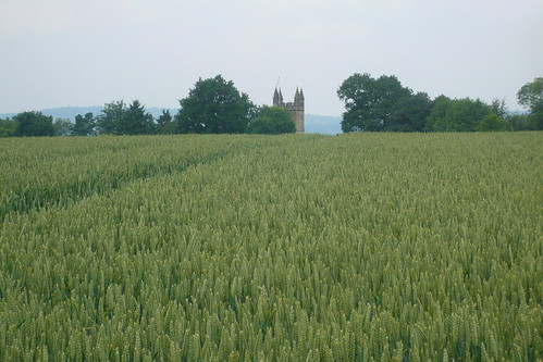 Field and Castle 