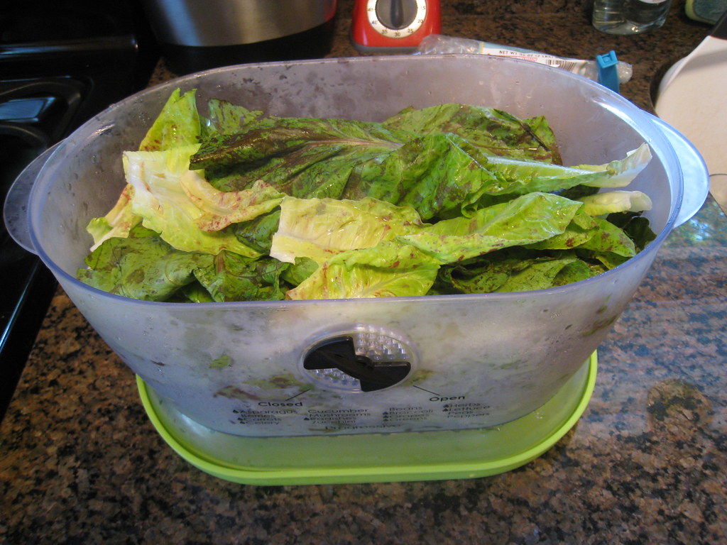 Lettuce in the Lettuce Keeper, This lettuce keeper thing ha…