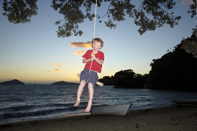 Young Boy on Rope Swing under Pohutukawa Tree at Dusk, Oamaru Bay, Coromandel, North Island, New Zealand