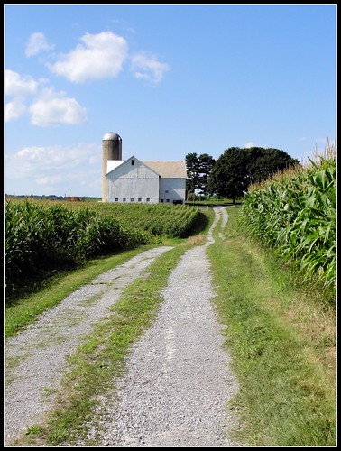 ohio barn corn farm driveway lane gravel farmstead washingtonville oh11 northlima mahoning oh7 oh14 erjkprunczyk