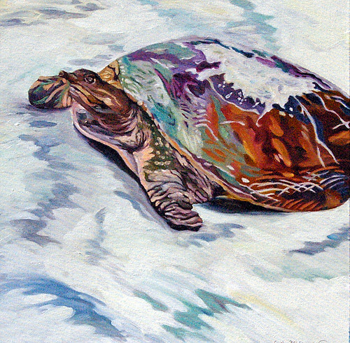 stilllife landscape originalart turtles oilpainting animalportraiture