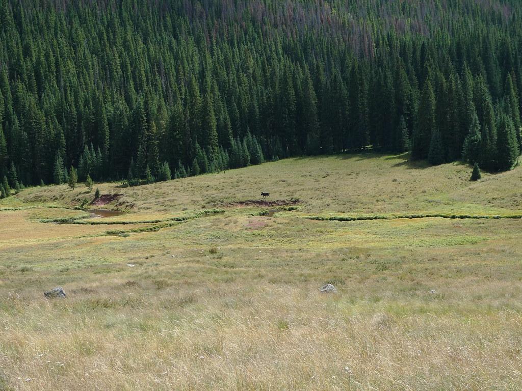 Soda Lakes Trail