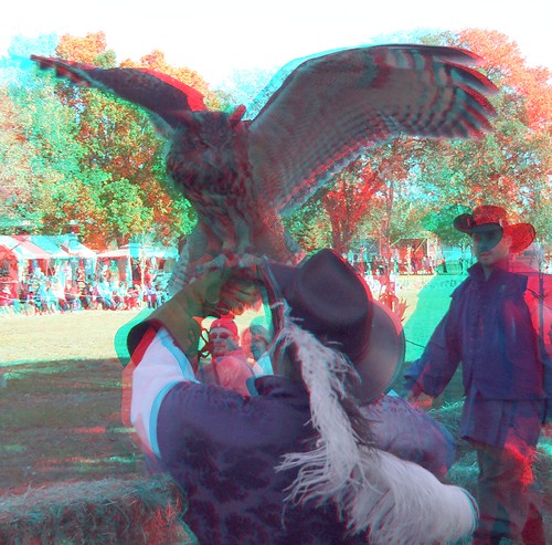 birds stereoscopic stereophoto anaglyph iowa falcon owls siouxcity anaglyphs redcyan 3dimages 3dphoto 3dphotos 3dpictures stereopicture riverssance fujiw3