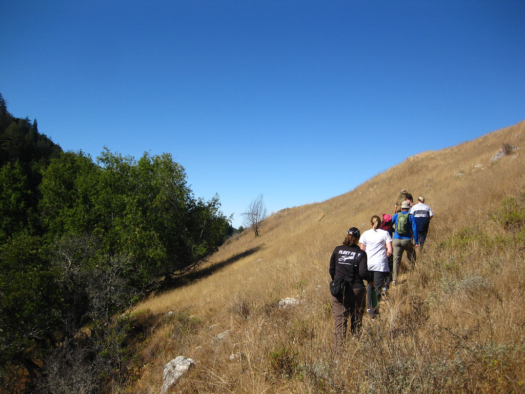 Big Sur, Bay Area Expeditions