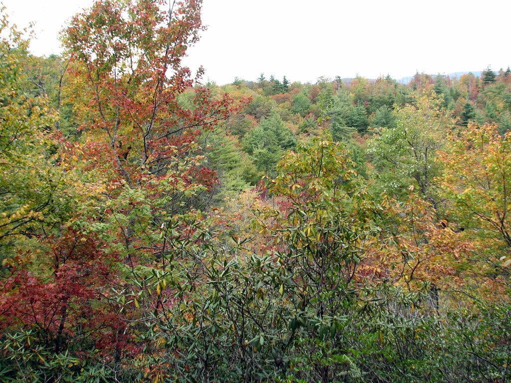 Bearwallow Valley Trail