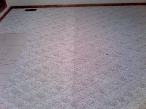 Carpet Cleaning | by RustysCarpetCleaningandRest