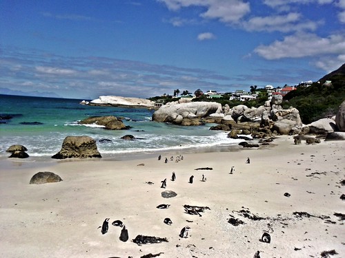Cape Town