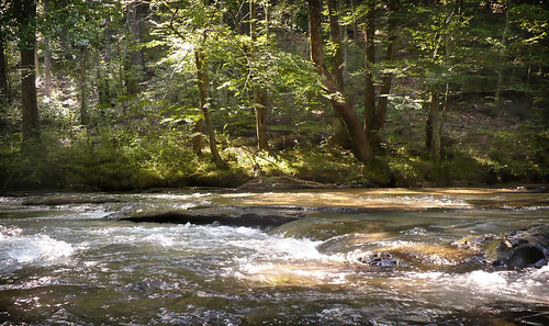 park creek waterfall birmingham alabama bhamref naturepreserve wading 2010 jeffco turkeycreek pinson jeffersoncounty turkeycreeknaturepreserve jul2010