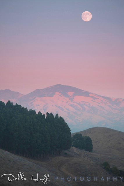 Harvest Moonrise over Mt. Diablo