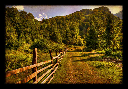 road wood blue light shadow red wallpaper sky favorite orange cloud brown white mountain black color colour tree green texture nature beautiful beauty grass yellow rock digital forest photoshop canon fence dark landscape photography eos photo leaf high nice interesting pretty view dynamic image stones background branches hill vivid cliffs romania frame land fav 1785mm range hdr highdynamicrange comment faved 17mm peisaj 40d canoneos40d malaia vilcea dragondaggerphoto dragondaggeraward