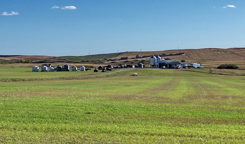 blue brown canada color colour green riverside farm sk prairie saskatchewan agriculture 2010 battrum canadagood thisdecade