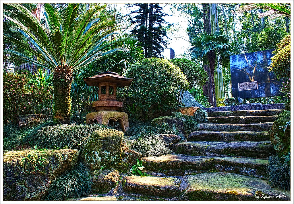 Japanese garden .. by Rebeca Mello