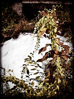 Faded Autumn Waterfall