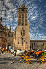 Giralda, Cathedral of Seville – Catedral de Sevilla, Spain HDR