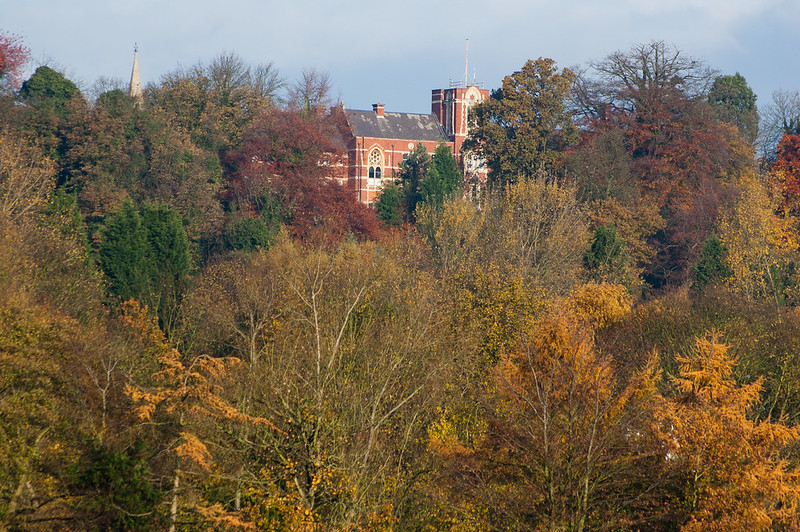 Autumn: Tettenhall ridge