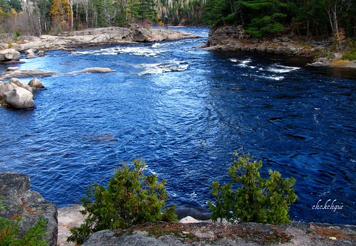blue trees green water river nepisiguit nepisiguitriver