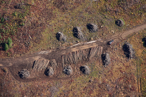 canada forest view aerial helicopter québec mauricie vue coupe qc forêt bois aérienne hélicoptère