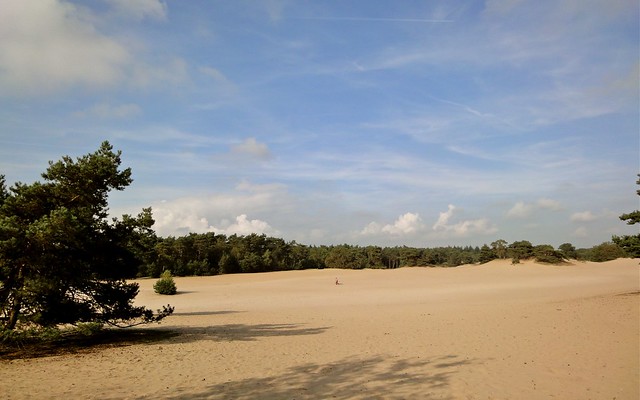 Korte Duinen shifting sands at Soestduinen