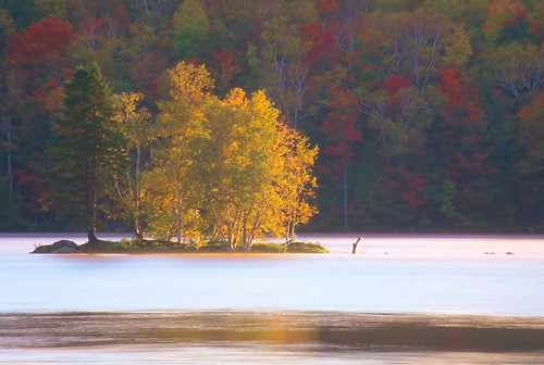 park morning autumn light red vacation usa white lake green fall nature beautiful beauty yellow rural forest sunrise landscape outdoors dawn cool colorful vermont vibrant horizon vivid peaceful calm foliage 200 serene wilderness vacations tranquil daybreak topaz
