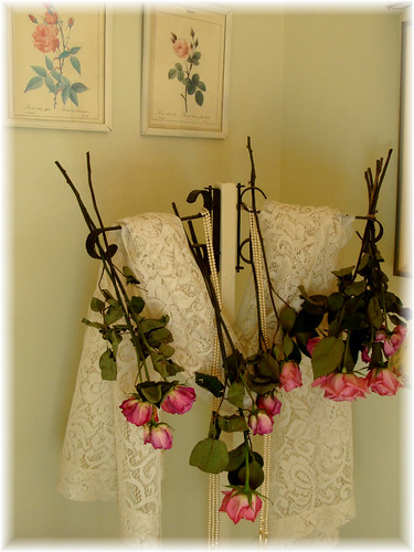 Pink Roses Drying | by Bluebird Becca