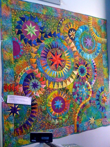 Not my quilt. Seen on display at My Blue Bamboo in Plymouth, Minnesota (metro Minneapolis / St. Paul). Tagline says 'Colourful' by Jacqueline de Jonge of the Netherlands.