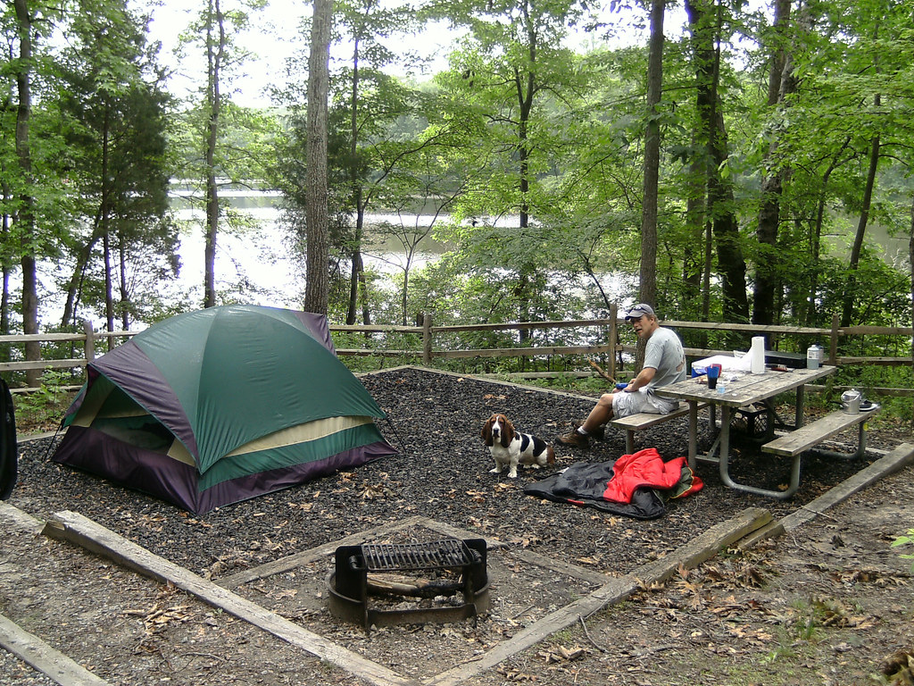 Spbc0125 A Typical Campsite At Bear Creek Lake State Park Va