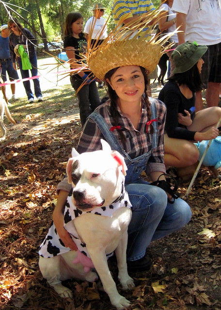 2nd Place! Farmer and Her Cow - American Bulldog