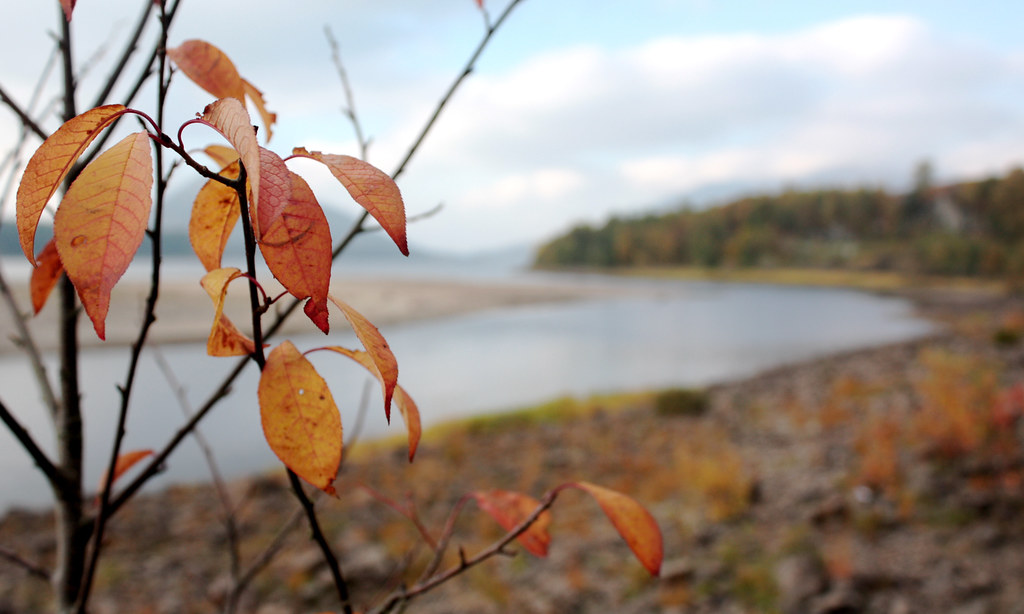 Autumn by Loch Laggan
