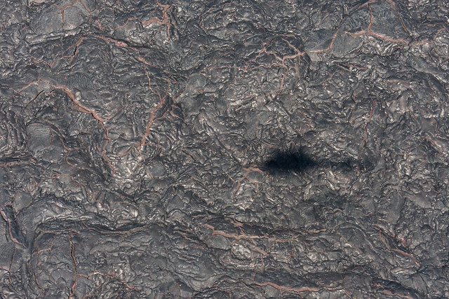 The shadow of our helicopter on hardened lava
