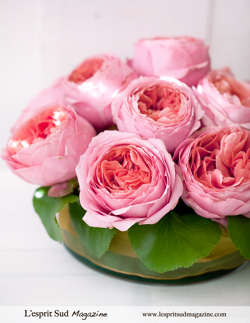 Pink garden roses centerpiece