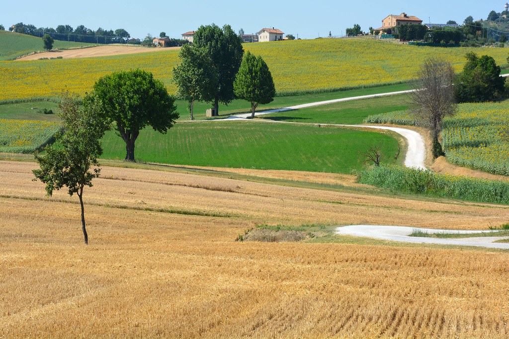 Marche landscape