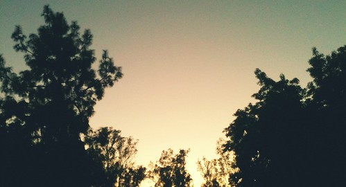 Untitled | by navarrd